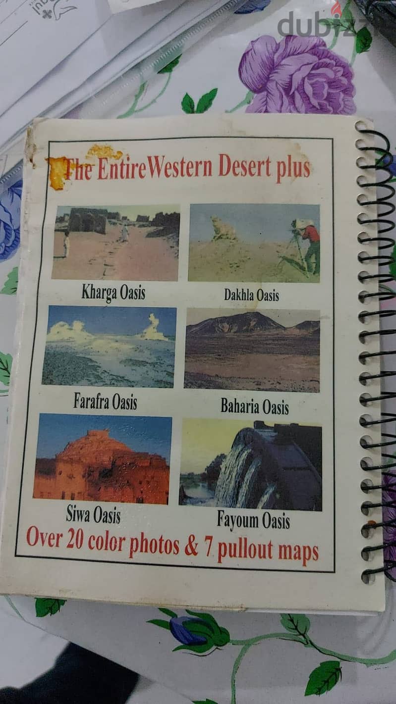 Siwa desert lover Egypt 1