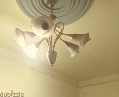 نجفه مودرن