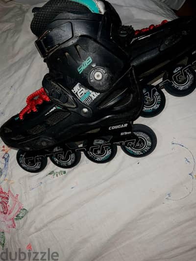 skate  cougar 509