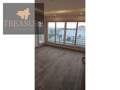 Apartment with kitchen for rent in hyde park