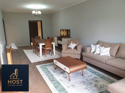 Apartment for Rent in Villette  fully furnished  private garden