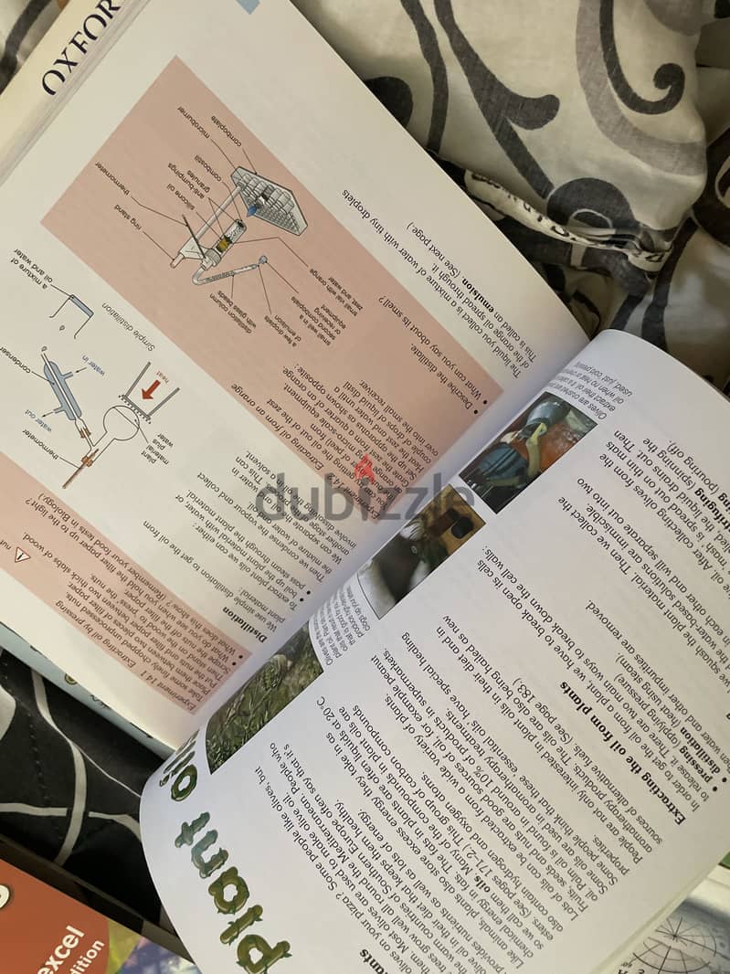 Nelson thornes chemistry book 1