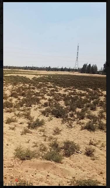 أرض زراعية 10 فدان للبيع في أبو صوير – الإسماعيلية | ملكية مسجلة |