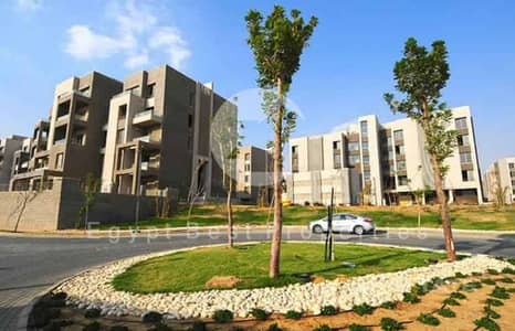OWN YOUR APARTMENT PRIME LOCATION LANDESCAPE VIEW FOR SALE IN PALM HILLS NEW CAIRO UP TO 10 YEARS OWN YOUR APARTMENT PRIME LOCATION LANDESCAPE VIEW FOR SALE IN PALM HILLS NEW CAIRO UP TO 10 YEARS