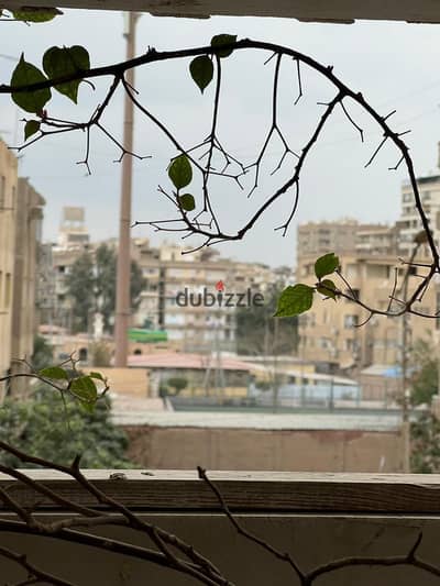 شقة مميزة بإطلالة مفتوحة على نادي الغابة | موقع راقٍ بمتفرعات ميدان تريومف | فرصة سكنية مميزة في قلب مصر الجديدة لعشاق الهدوء والتميز والخصوصية والرقي