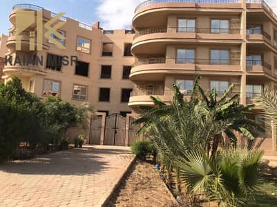 Rent a 250-meter apartment in the best location in the first area of super-luxury finishing furnished buildings