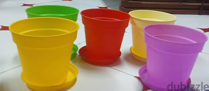 اصيصات زرع