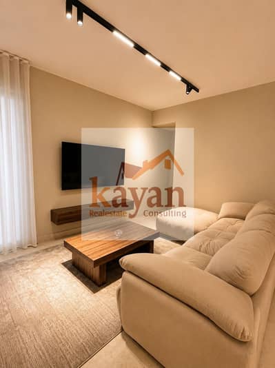 Modern furnished apartment for rent in Villette Sodic.