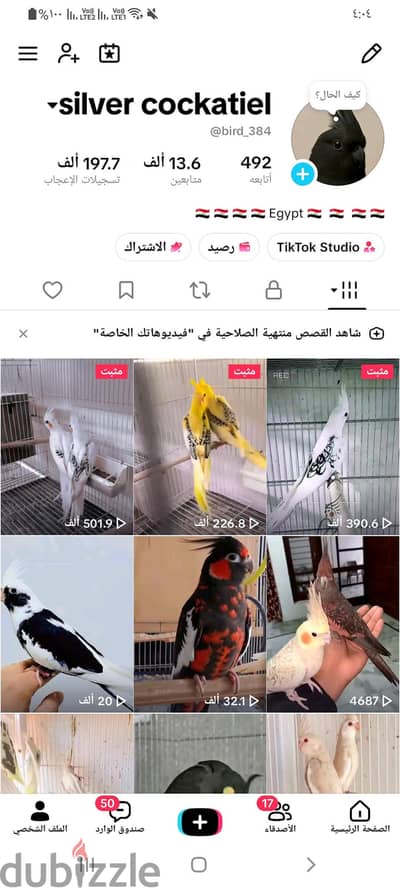 13.6 k متابع