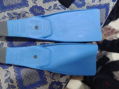 زعانف سباحة