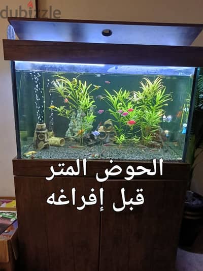 حوض سمك  100*60*60 زجاج سان جوبان ١٢ملم