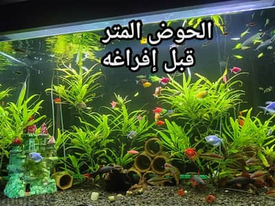 حوض سمك  100*60*60 زجاج سان جوبان ١٢ملم