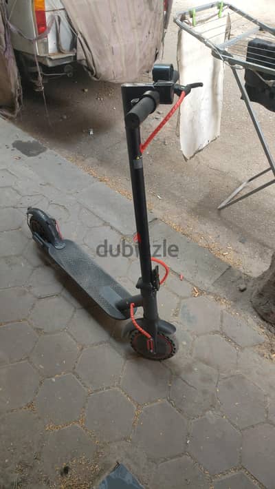 اسكوتر