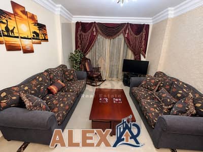 Furnished apartment in Zizinia steps from Abu Qir Street