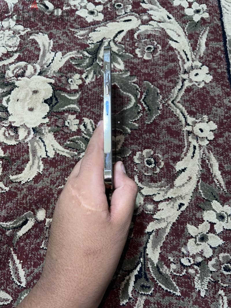 Apple - iPhone 13 Pro Max 1