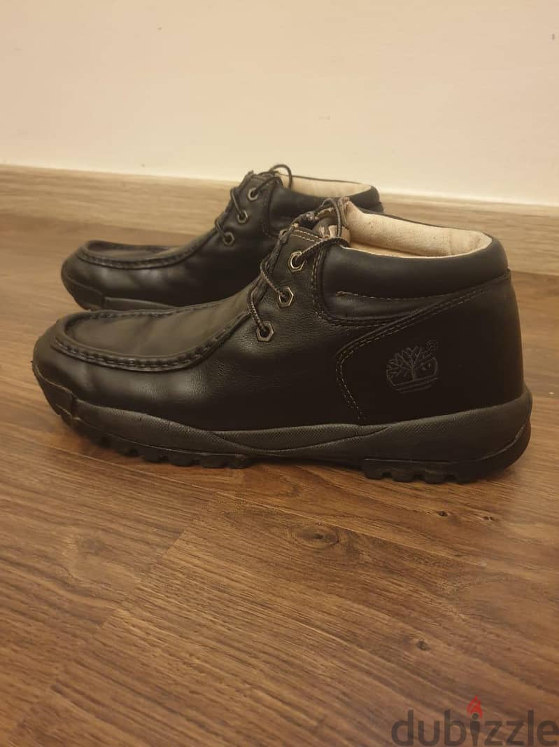 Timberland 1