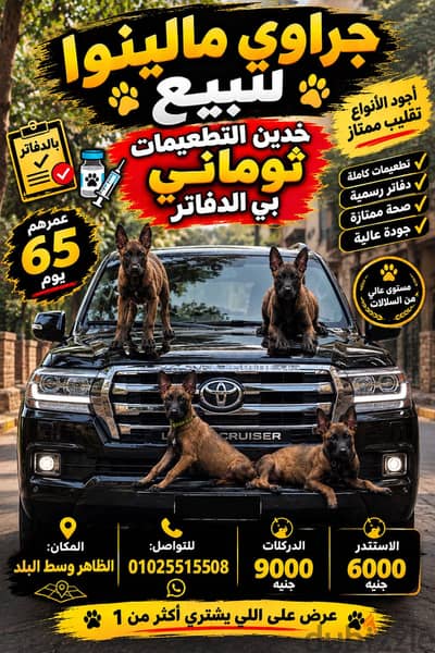 ملينوا