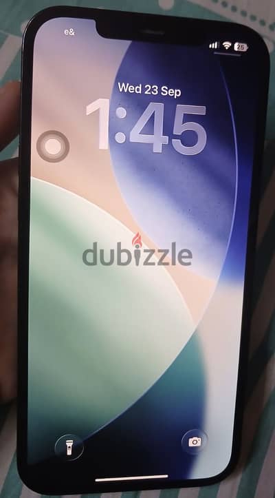 Apple - iPhone 12 Pro Max