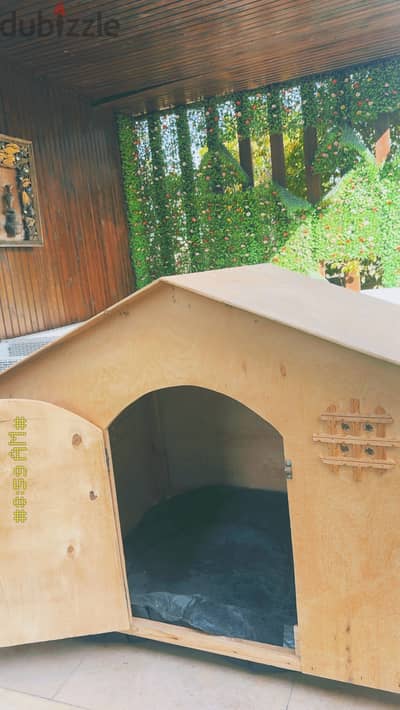 House dog fits two big dogs
