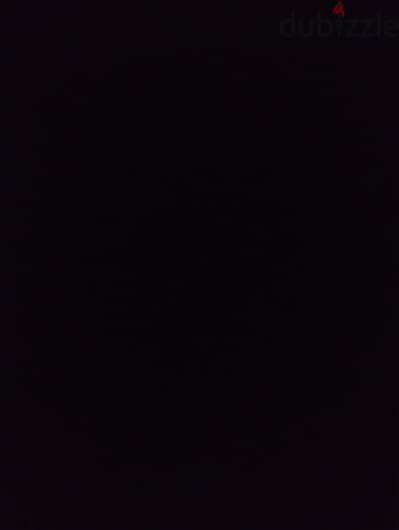 قطه للتبني  يكون عمرها شهرين او اربع شهور