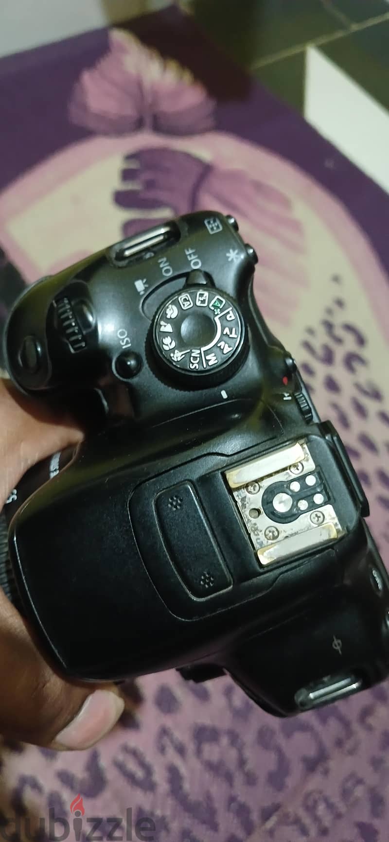 cannon D700 7