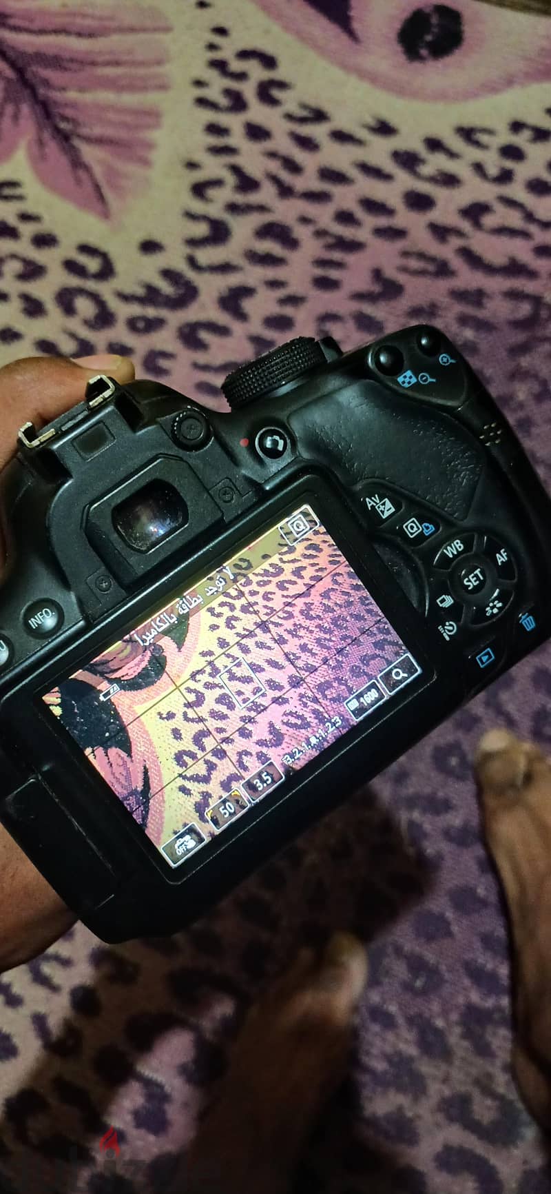 cannon D700 9