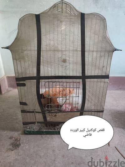 قفص كوكتيل