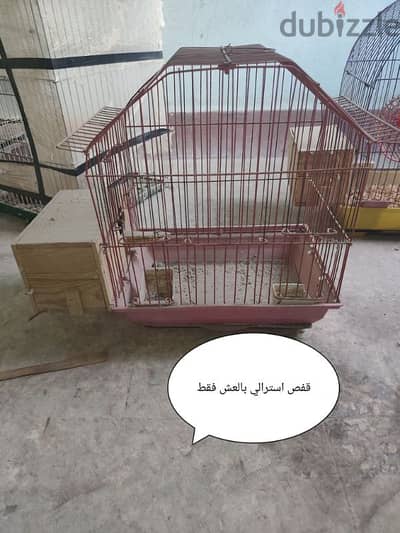 قفص استرالي