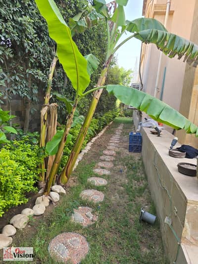 Villa - Twin House - Al-Nasaem Village - October  Super Lux Finish - Distinct Division  Area/ 304 Buildings. Area/ 286 Land The garden is approximately 180 meters planted 4 rooms