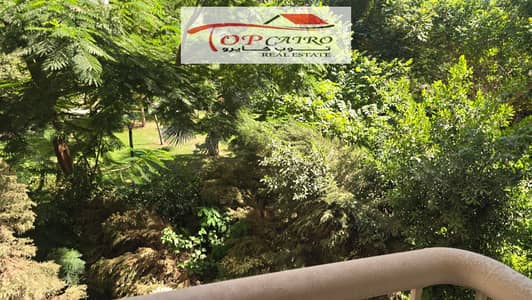 Apartment for sale in Madinaty at a special price B6 Apartment for sale in Madinaty at a special price B6