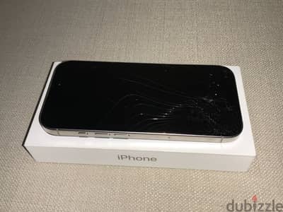 iPhone 16 Pro
