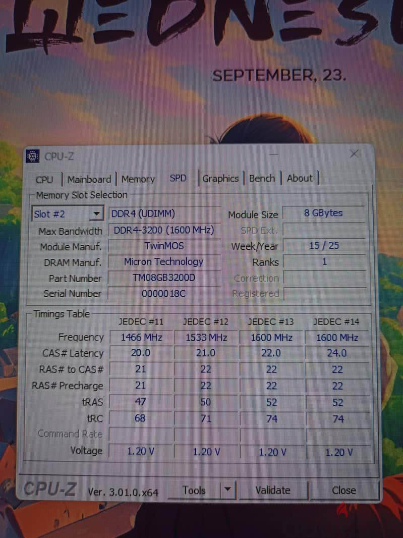 Pc Gaming Setup | i5-12400F | RTX 5050 | Gigabyte 200Hz 8