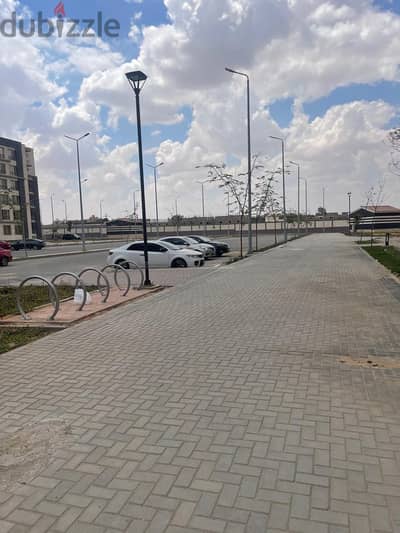 جنة زايد ٢