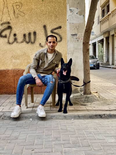 دكر مالينو ٨ شهور