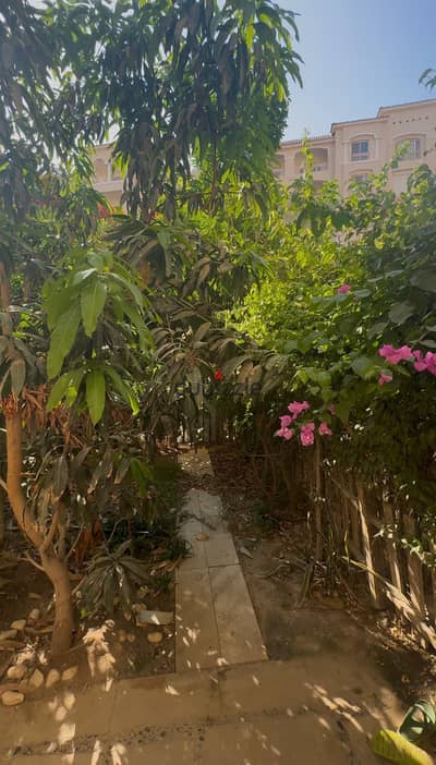 **Ground-Floor Apartment with a Private Garden in a Prime Location in Madinaty B1**    One of the earliest and most prestigious phases of Madinaty