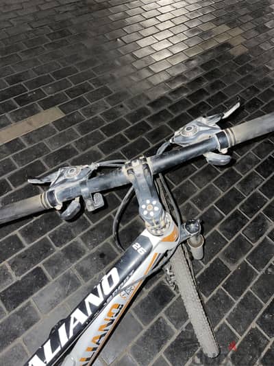 Italiano bike for sale