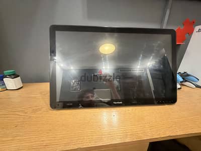 Viewsonic TD2430