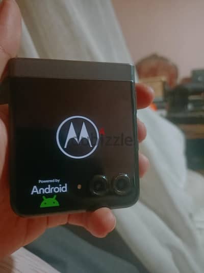 Motorola Razr 50 فاصل شاشه داخليه مدفوع الضريبه