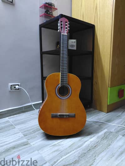 Classical Acoustic Guitar