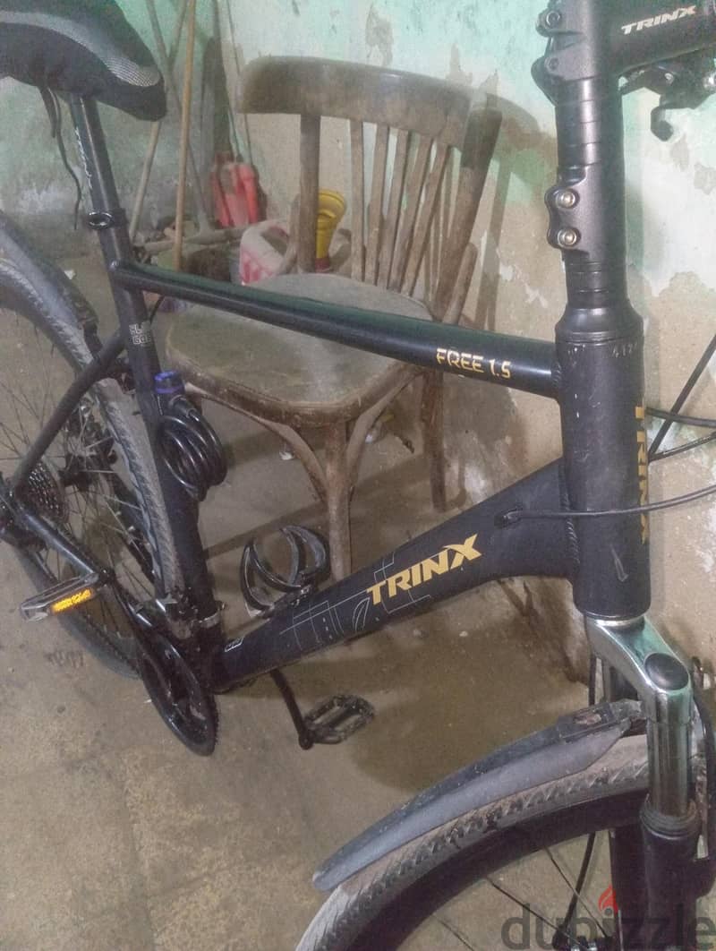 Trinx free 1.5 1