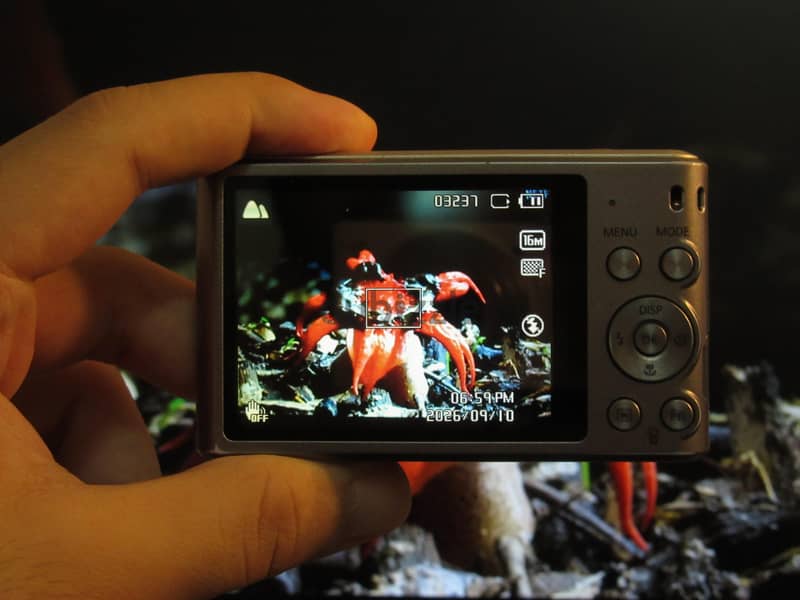 Samsung st66 2