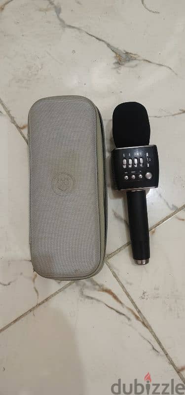 Speaker and microphone