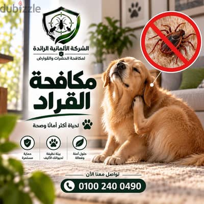 رش وتعقيم المنزل من الحشرات