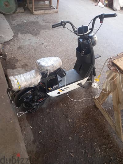اسكوت كواى بى