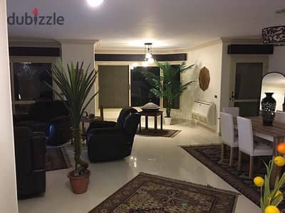 Furnished apartment for rent in Dokki.        .