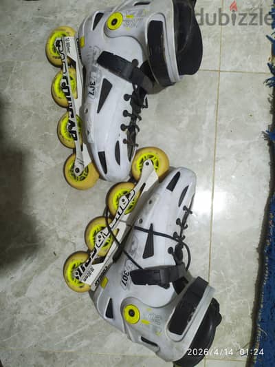 skate cougar 307
