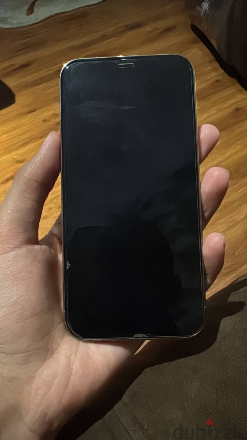 Apple - iPhone 12 Pro 1