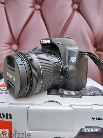 Canon 250d