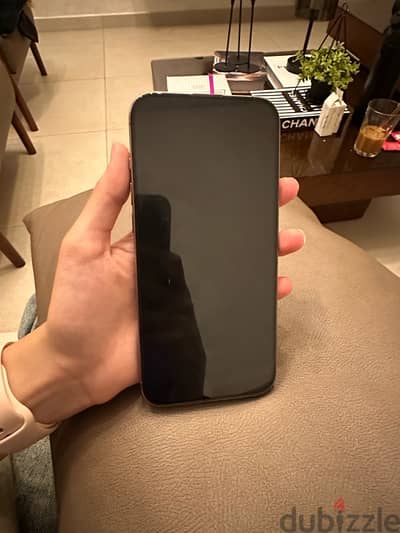 iphone  16 promax