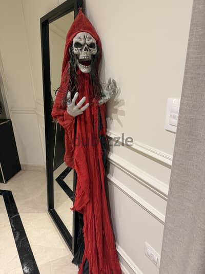 Haloween hanging skeleton